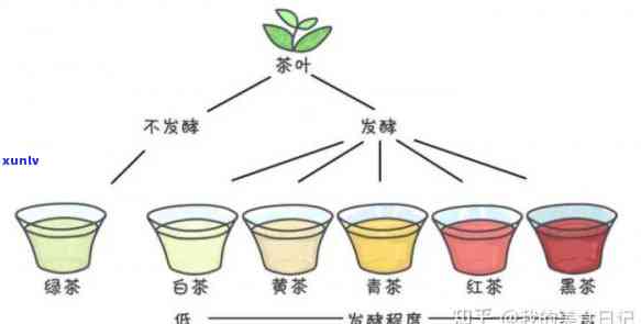 红茶里是否含有茶多酚？探讨其存在原因与饮用安全性