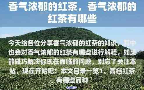 信用卡逾期问题全解决方案：公司、咨询、应对 *** 一应俱全