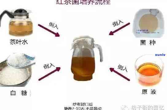 红茶菌种的 *** 视频，掌握红茶菌种 *** 秘诀：一看就会的视频教程！