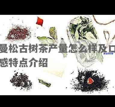 曼松古树茶品种大全：详细图解及数量介绍