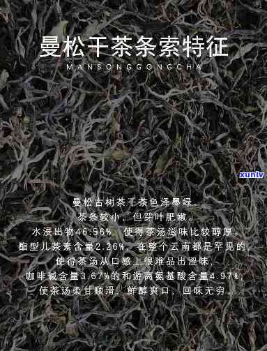 曼松古树茶品种大全：详细图解及数量介绍