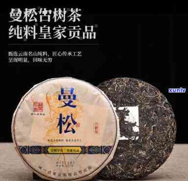 曼松古树茶有多少个-曼松古树茶有多少个品种