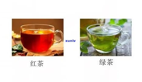 哪种茶更减肥，绿茶 vs 红茶：哪种茶更能帮助减肥？