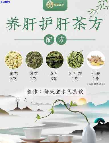 哪种茶对肝脏有好处-养肝三种茶