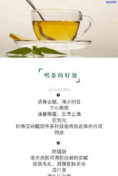 哪些茶能有效降血压、血脂？全解析