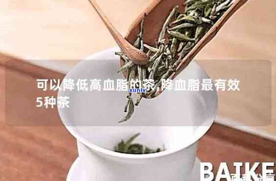 哪些茶能有效降血压、血脂？全解析