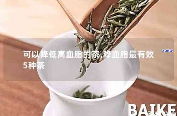 哪种茶可以降血压降血脂，降血压降血脂？试试这些茶！