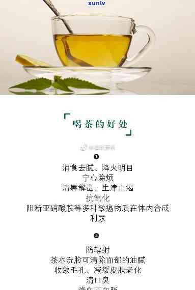 哪种茶可以降血压?-哪种茶可以降血压