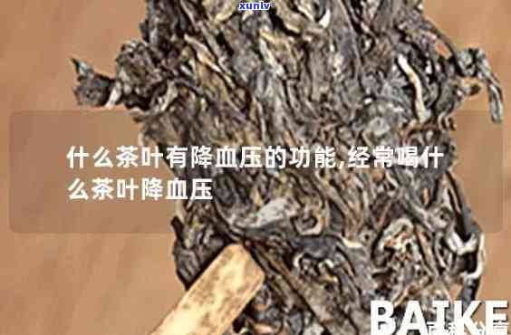 哪种茶可以降血压?-哪种茶可以降血压