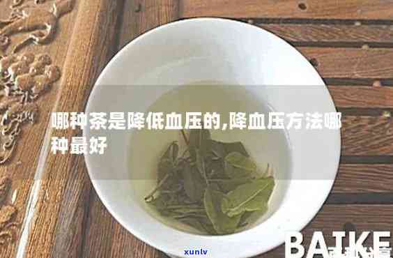 哪种茶可以降血压?-哪种茶可以降血压