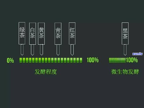 哪一类是发酵茶？请区分发酵茶、发酵茶类和发酵茶叶