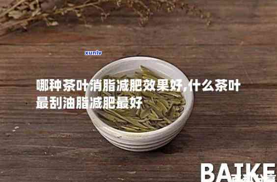 什么茶可以减肥消脂通便，神奇的茶叶，轻松减肥消脂通便！