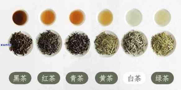 哪种茶属于不发酵茶-哪种茶属于不发酵茶类