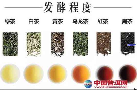 哪种茶属于不发酵茶-哪种茶属于不发酵茶类