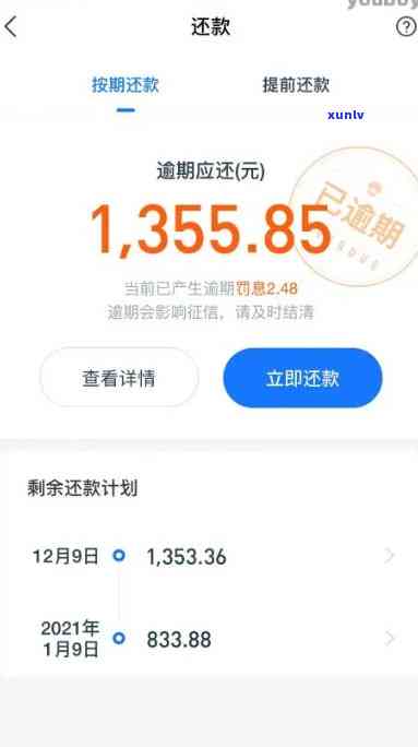 网商贷100元逾期5天的后果有多严重？逾期1000多久会上？