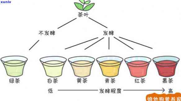 哪类茶不是发酵茶：绿茶、乌龙茶、白茶和黄茶等非发酵茶类