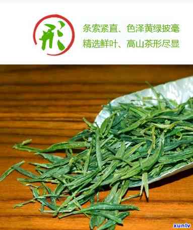 山黄芽属于什么茶，解密山黄芽：它属于哪种茶？