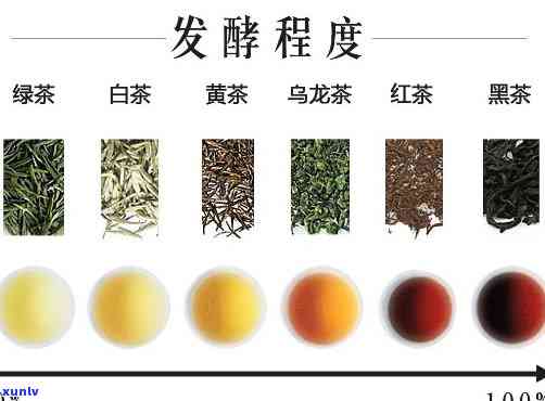 发酵茶？发酵茶类？还是发酵茶做的？一一解答！