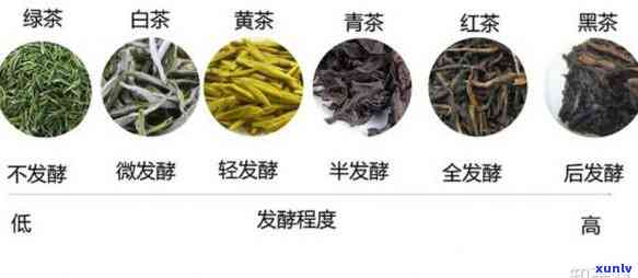 以下哪种茶属于再加工茶？白茶、果味茶还是花茶或黄茶？