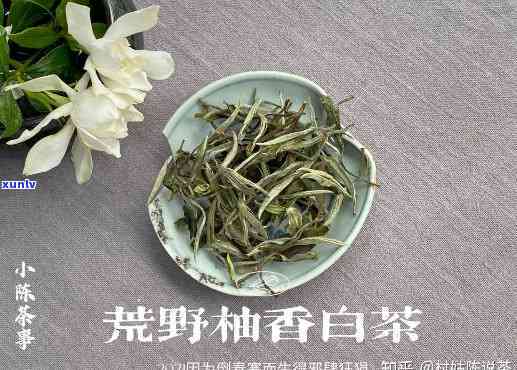 以下哪种茶属于再加工茶？白茶、果味茶还是花茶或黄茶？