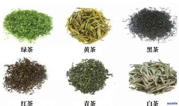 以下哪种茶属于再加工茶？白茶、果味茶还是花茶或黄茶？