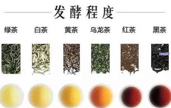 哪种茶属于后发酵茶呢？绿茶、白茶还是乌龙茶？请看图片