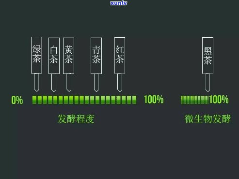 哪种茶属于发酵茶，探讨茶叶种类：哪些是发酵茶？