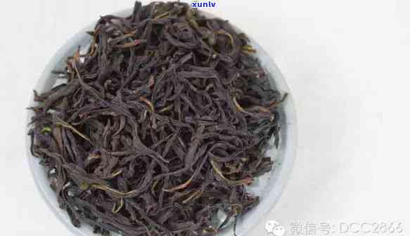 哪种茶属于半发酵茶，探秘茶叶世界：解析半发酵茶的种类与特点