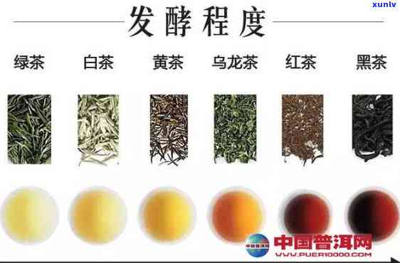 哪些茶属于半发酵茶，探秘茶叶世界：哪些茶属于半发酵茶？