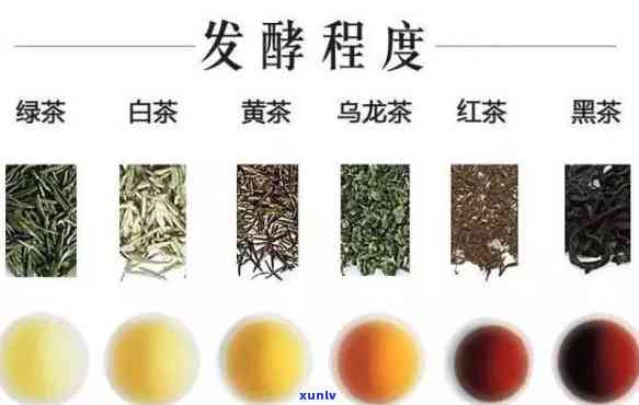 哪些茶属于半发酵茶，探秘茶叶世界：哪些茶属于半发酵茶？