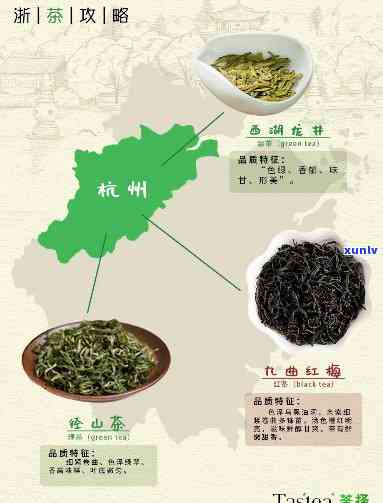 浙江州产哪种茶叶最多，揭秘浙江州：最产哪种茶叶？