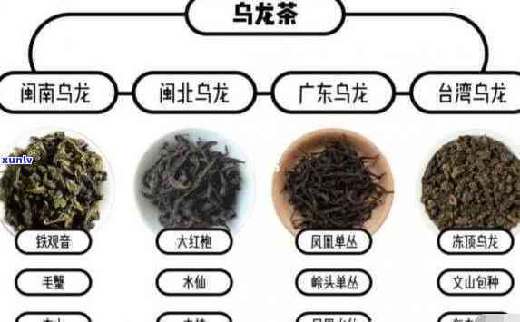 哪种茶是半发酵制成的？绿茶、乌龙茶还是铁观音？