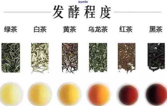 哪一类茶是半发酵的茶？请详解各类茶叶的区别与特点