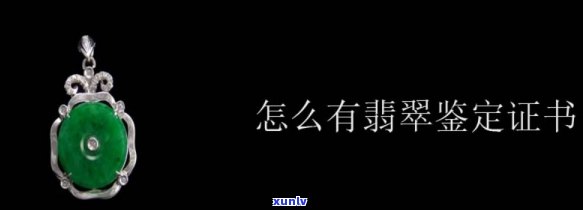 如何准确收录翡翠鉴定证书及真伪信息