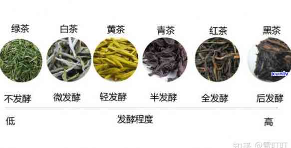 哪种茶味道重，探讨茶叶口味：哪种茶的味道更重？