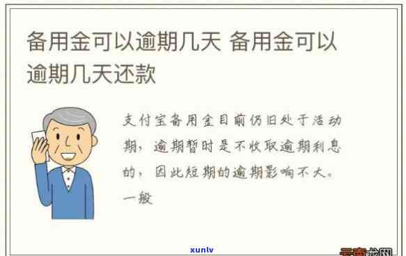 网商贷逾期备用金所需多少天偿还？