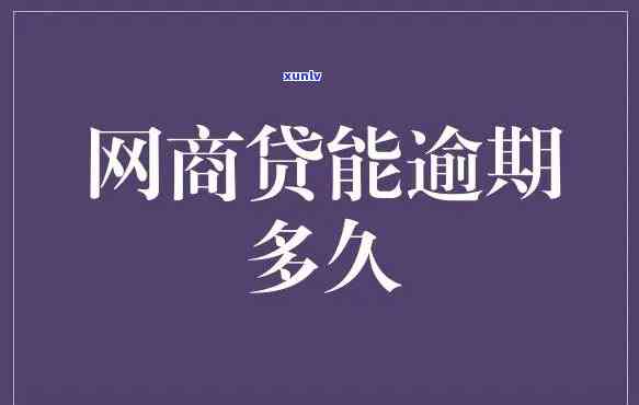 网商贷,逾期20个小时会怎么样，网商贷逾期20小时的结果是什么？