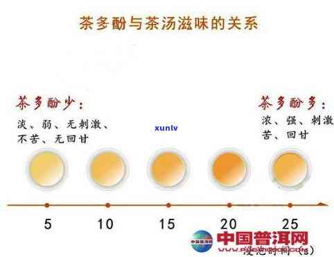 哪种茶含有最多的茶多酚？比较不同茶叶的含量与口感