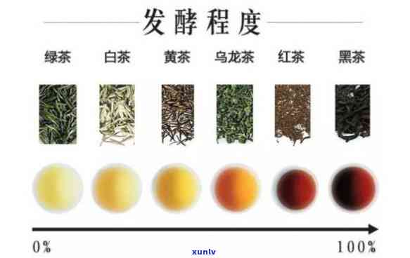 哪种茶含有最多的茶多酚？比较不同茶叶的含量与口感