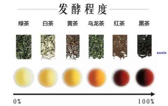 比较不同茶叶的茶多酚含量：哪种茶更高？