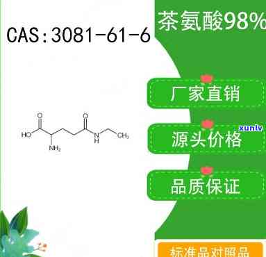 哪种茶茶氨酸含量高-哪种茶茶氨酸含量高一点