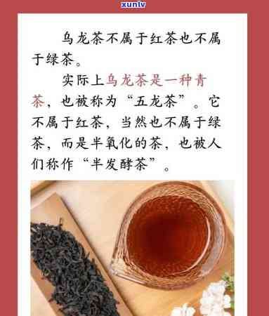 哪种茶抗氧化效果好喝？绿茶、红茶、乌龙茶比较