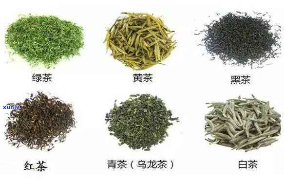 到底哪种茶对人体好处更大，探究茶叶种类：哪种茶对身体最有益？