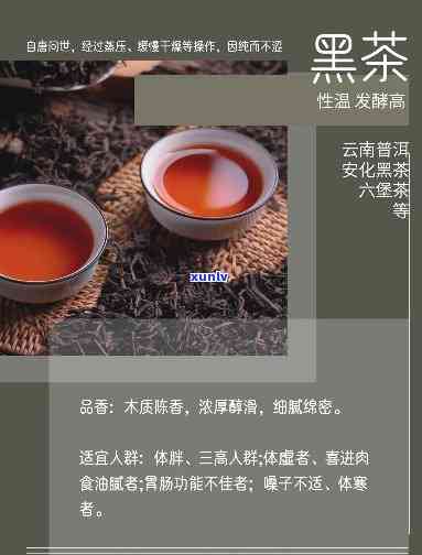 到底哪种茶对人体好-到底哪种茶对人体好呢