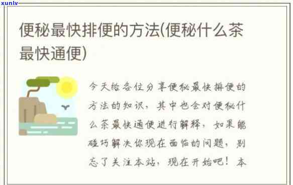 哪个茶治便秘：效果比较与推荐