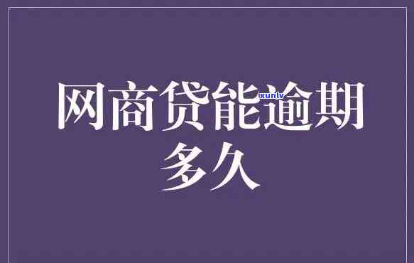 网商贷逾期一天还能借出来吗，网商贷逾期一天后，能否继续借款？