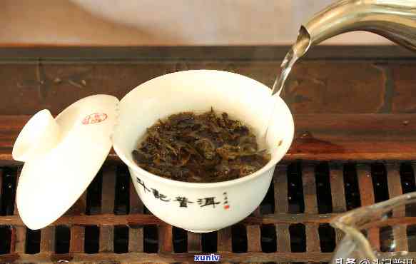 哪种茶可以长时间泡茶，探索茶叶世界：哪些茶适合长时间浸泡？