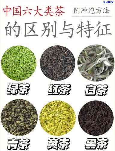 哪种茶是属于耐泡型茶，探究茶叶世界：哪些茶类属于耐泡型茶？