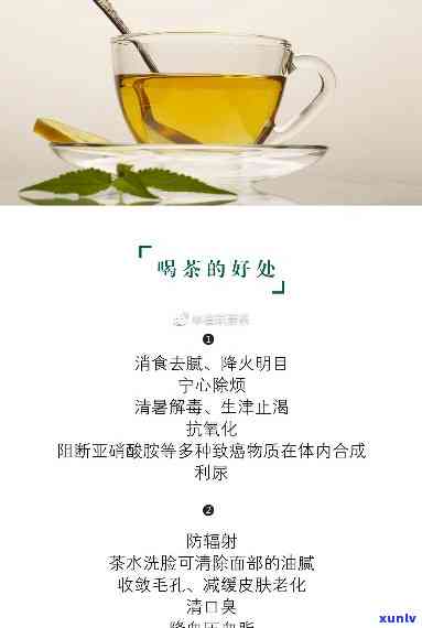 哪些茶降血压效果好-降血压的十种茶