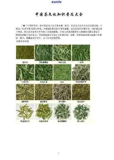 中国都有哪些茶文化名字，探索中国茶文化的多样性：了解各种茶叶的名称和故事